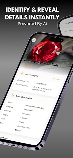 Jewelry Identifier ایپ ڈاؤن لوڈ کریں – زیورات اور قیمتی پتھروں کی پہچان - Screenshot 12