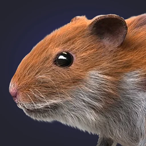 Hamster Clicker Earn Coins ڈاؤن لوڈ کریں – مفت سکے حاصل کریں