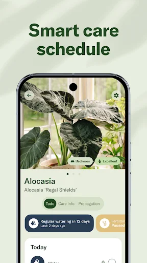 Planta ڈاؤن لوڈ کریں – پودوں کی دیکھ بھال اور شناخت کا بہترین ایپ - Screenshot 2