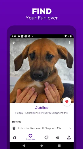 Petfinder – Adopt a Pet ڈاؤن لوڈ کریں – پالتو جانور گود لیں - Screenshot 6