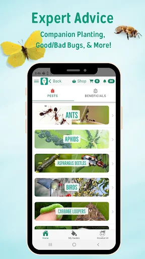 Seed to Spoon ڈاؤن لوڈ کریں – باغ بانی اور پودوں کی دیکھ بھال کے لیے بہترین ایپ - Screenshot 7