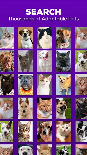 Petfinder – Adopt a Pet ڈاؤن لوڈ کریں – پالتو جانور گود لیں - Screenshot 1