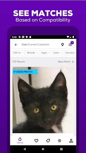 Petfinder – Adopt a Pet ڈاؤن لوڈ کریں – پالتو جانور گود لیں - Screenshot 2