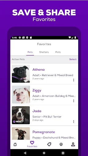 Petfinder – Adopt a Pet ڈاؤن لوڈ کریں – پالتو جانور گود لیں - Screenshot 4